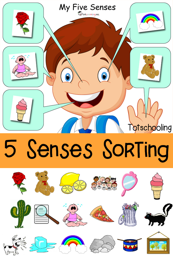 Five Senses Printable Activity