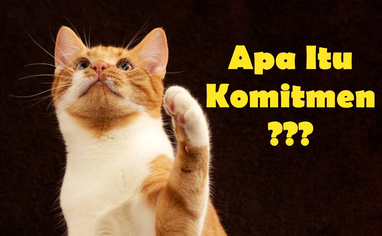 Apa itu Komitmen Gambar kucing sedang bertanya tanya