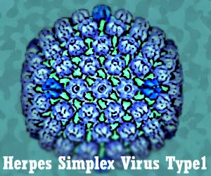 obat herpes simplex