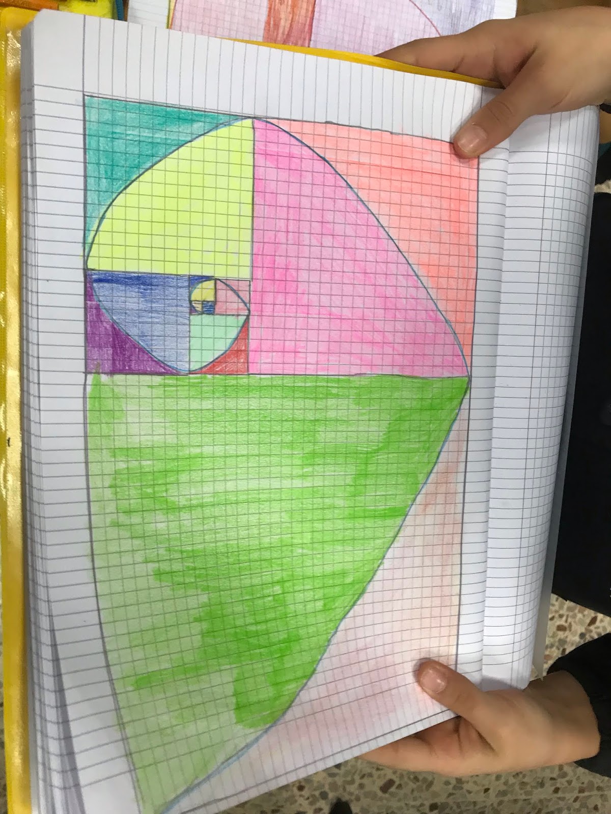 Il Fibonacci Day e la spirale "magica"!