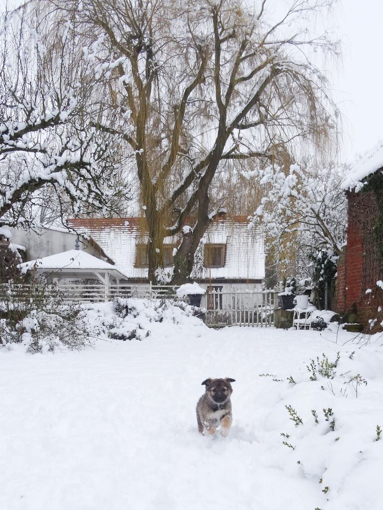 princessgreeneye Grete und eine "Fundsache"&hellip;&hellip;&hellip;&hellip;&hellip;&hellip;..