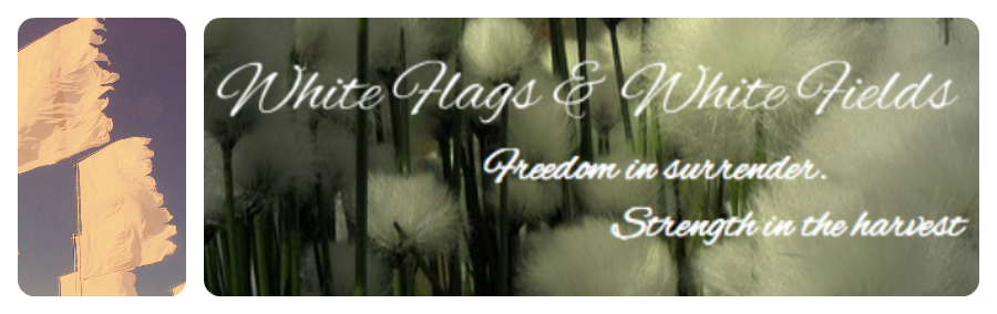 White Flags & White Fields                         freedom in surrender. strength in the harvest
