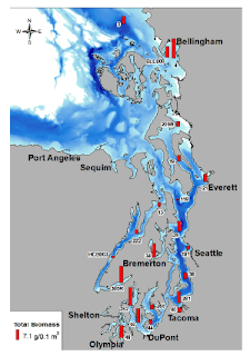 Map of benthic biomass based on water depth