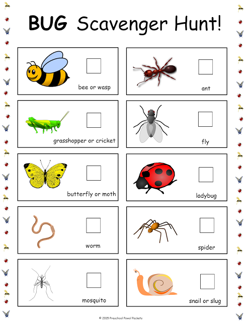 Insect, Bug, & Spider Themed FREE Preschool Printables | Preschool