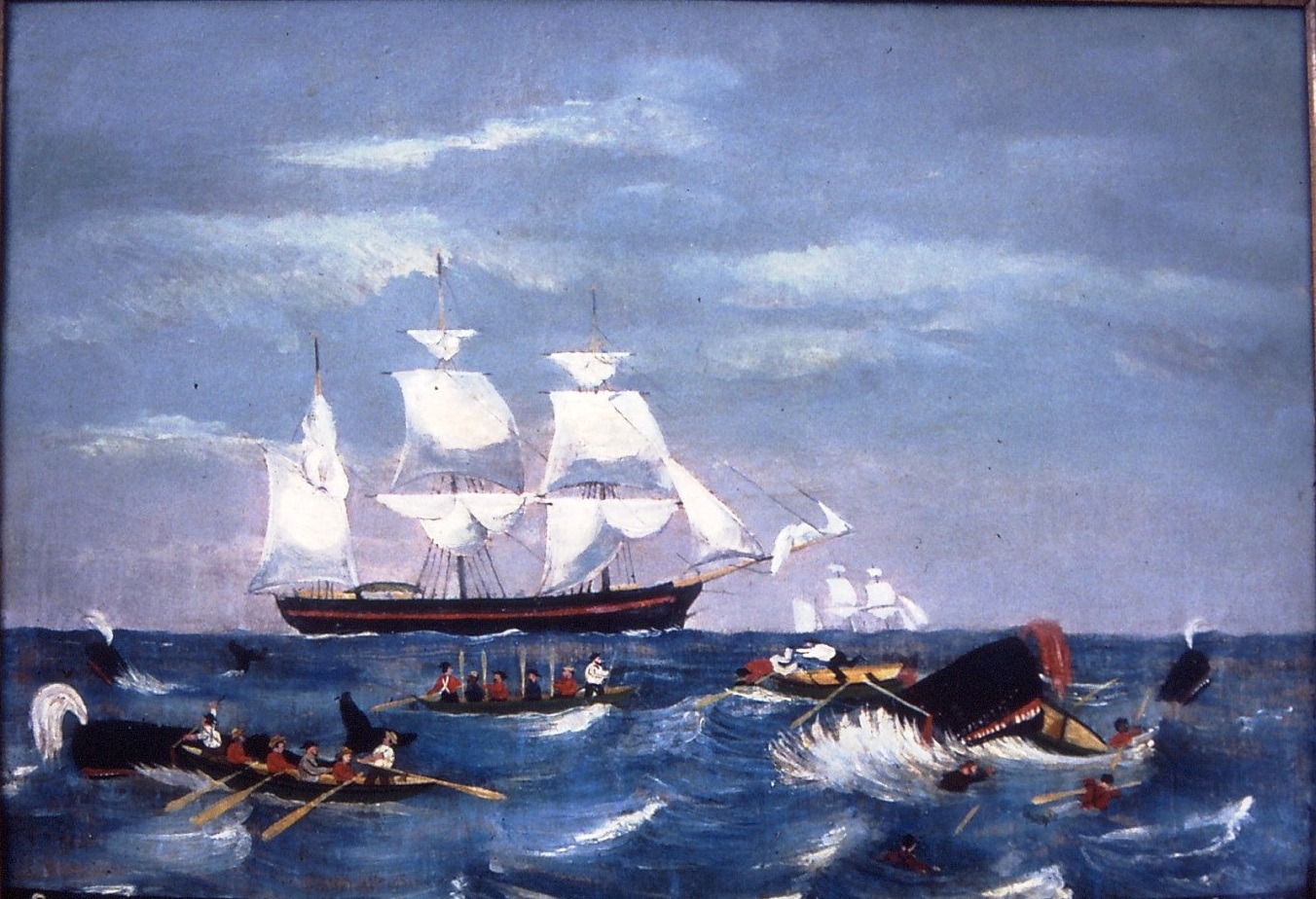 World of the Written Word: Wreck of American whaling bark found in ...