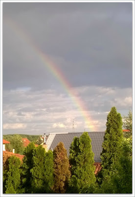 Kép