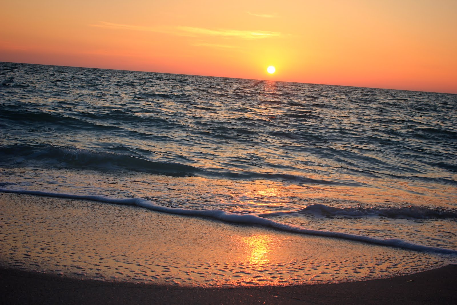Planted by Streams: Spring Break in Boca Grande