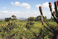 Kenya-près Mont Kenya