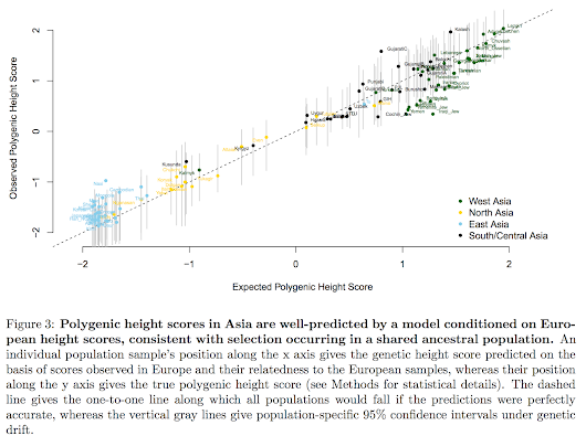 Natural Selection and Body Shape in Eurasia