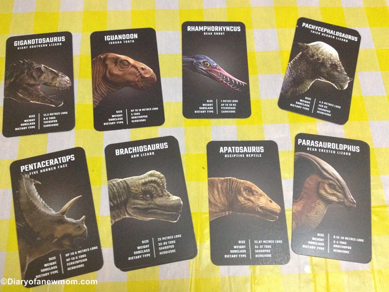 Dinosaur 4D Flashcards