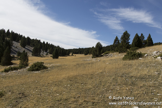 Ruta: Pedró dels Quatre Batlles (2.387 m.) y Puig de les Morreres (2.211 m)