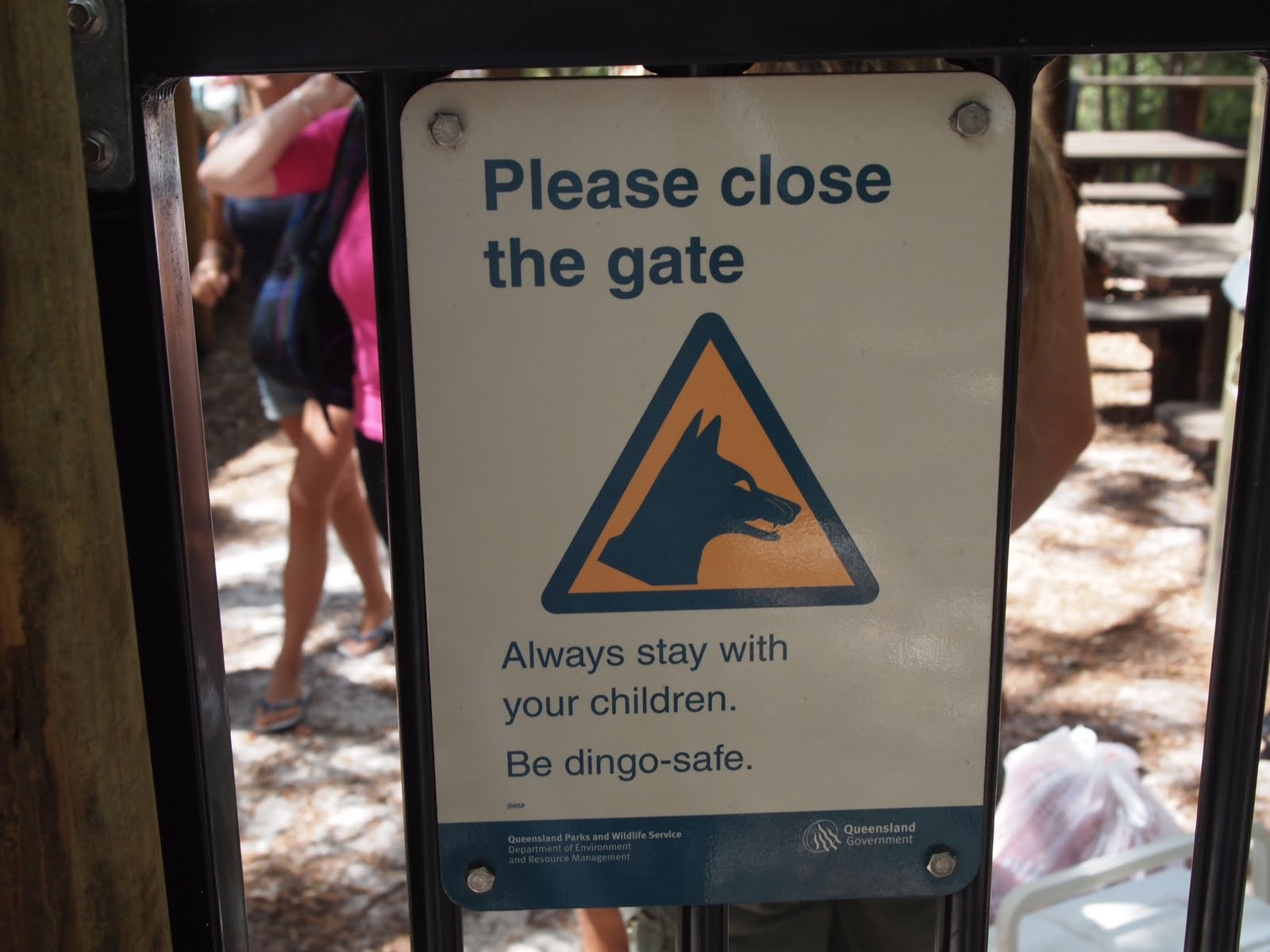 The Bragabonds: Maybe the dingo ate your baby - no really