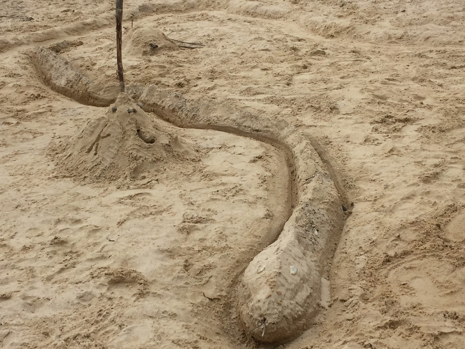 The Doeschers Sand Snakes