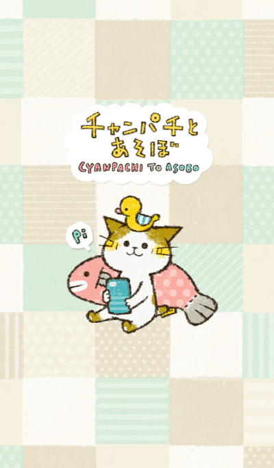 Cute cat 'Cyanpachi'-ver.2