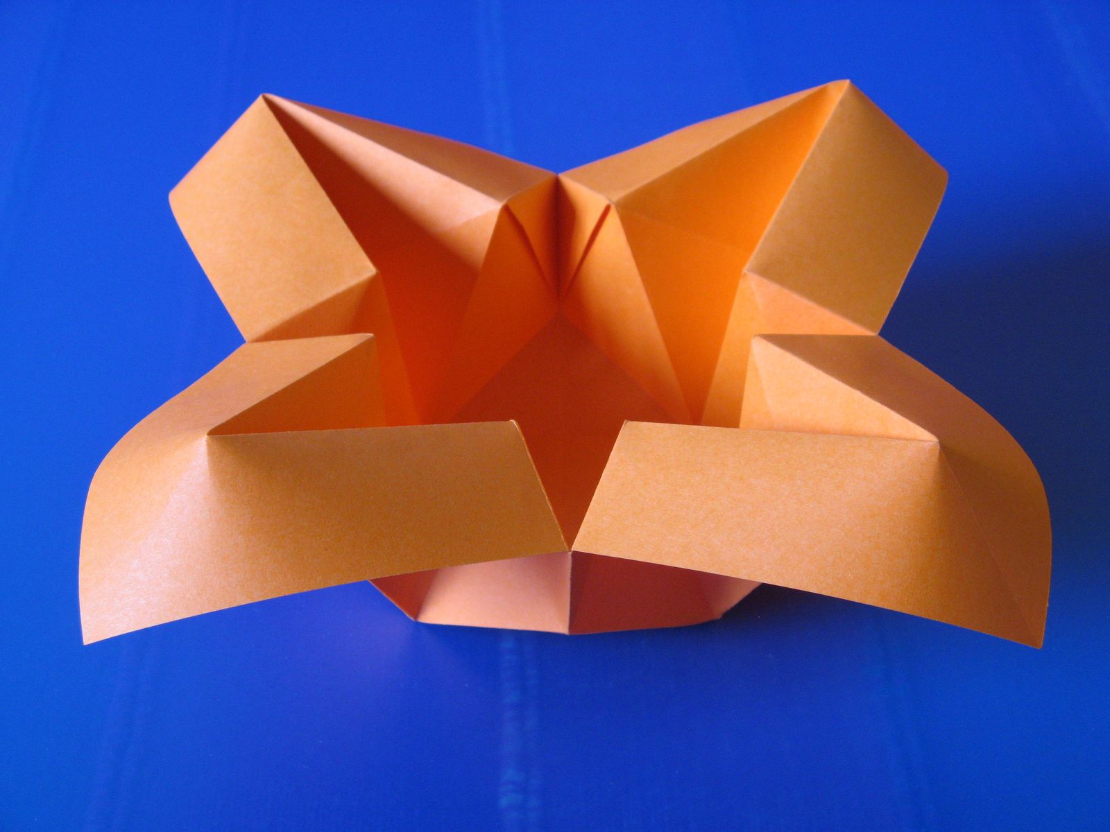 Origami poesie di carta: Vaso con petali
