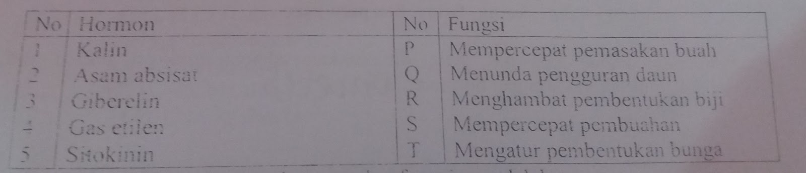 Pasangan Organ dan Zat yang Sesuai