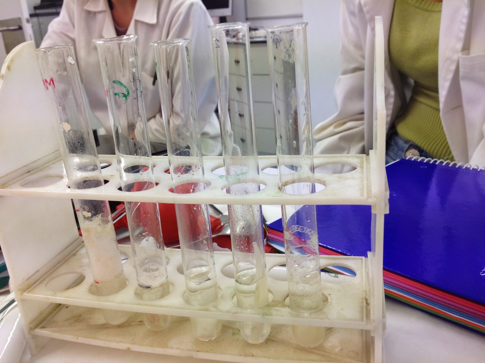Lab science: L.10 PROTEIN DENATURATION 1