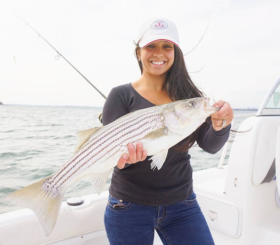 Dave pickering striped bass Clearance