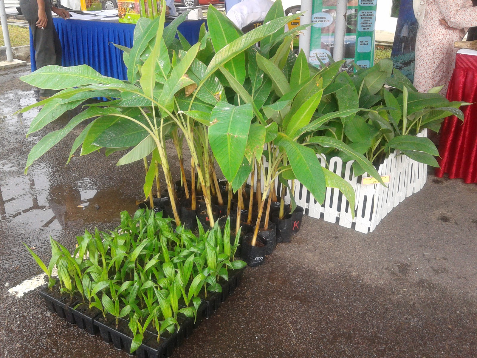 JOHOR PLANT TECH SDN BHD AKTIVITI SYARIKAT