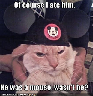 photo of a cat wearing a mickey mouse cap
