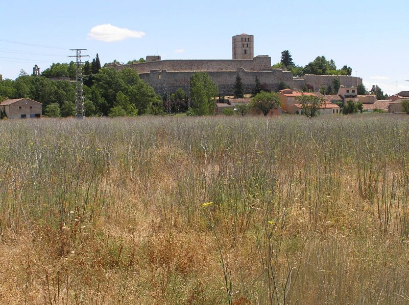 Historia desde Benavente El Campo de la Verdad