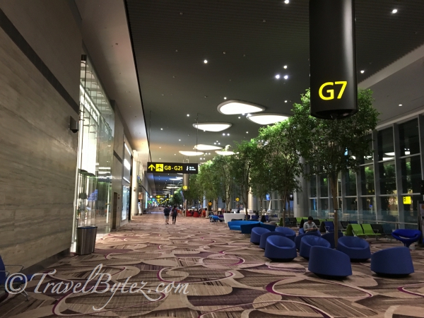 Changi Airport Terminal 4