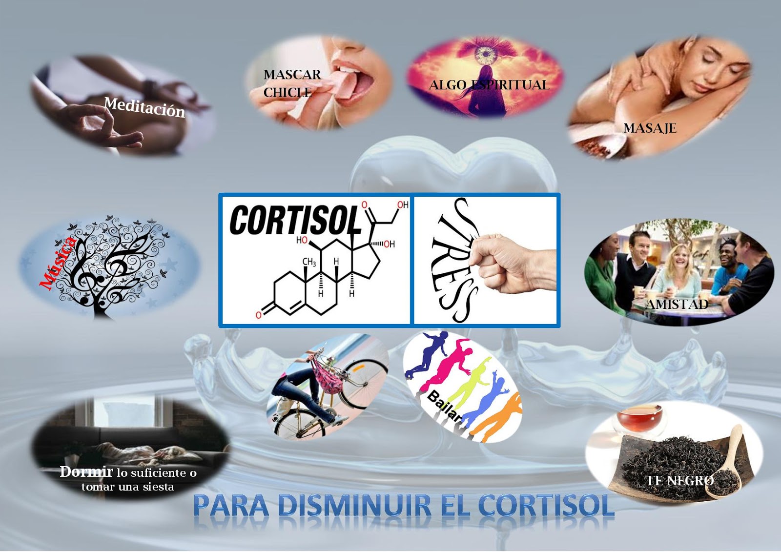 BAJAR EL CORTISOL PARA BAJAR EL