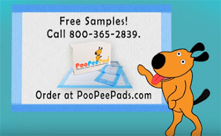 Best Pee Pads For Car Trip Best Pee Pads For Car Trip