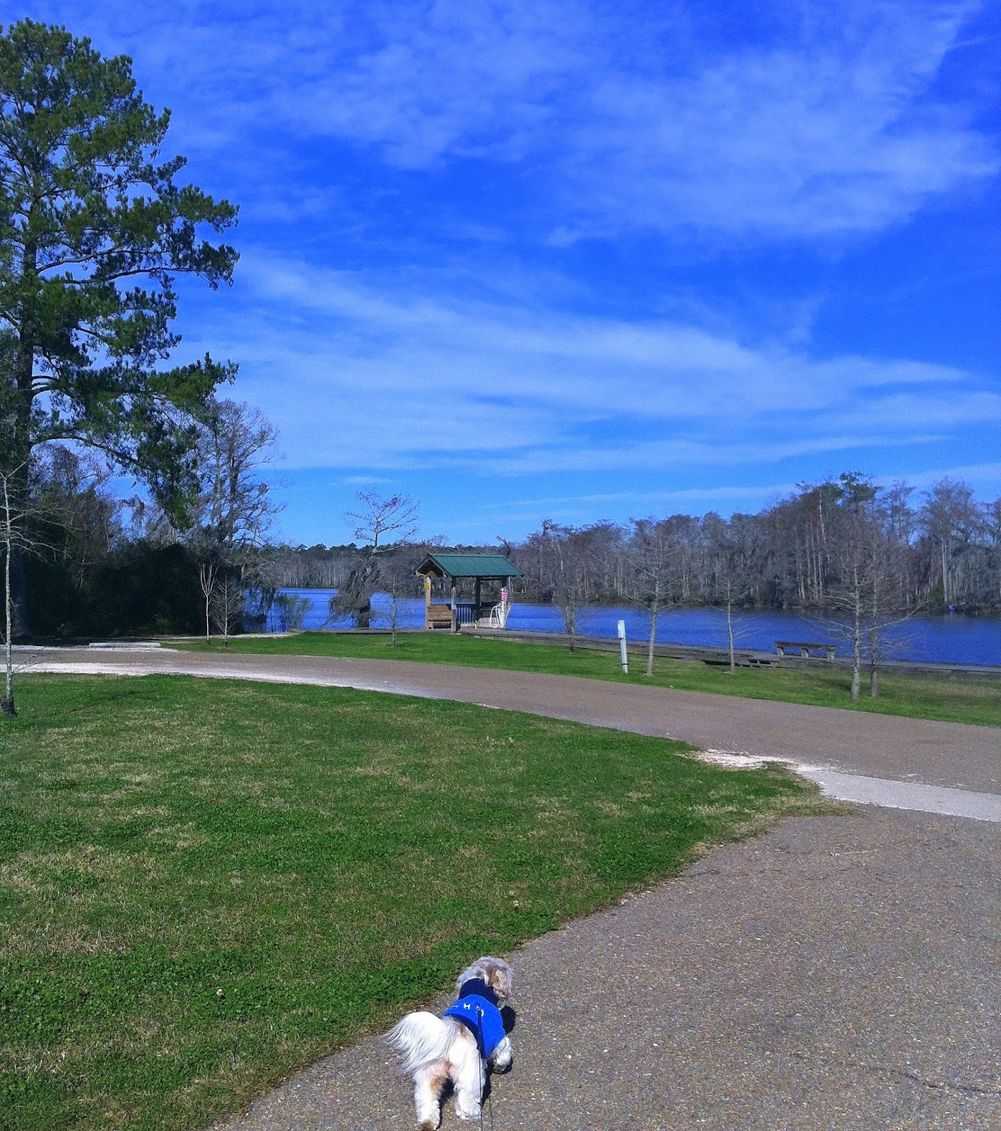The Gypsy Boho Freedom Express THE TCHEFUNCTE RIVER AT FAIRVIEW