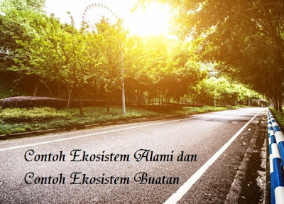 Contoh Ekosistem Alami dan Contoh Ekosistem Buatan Contoh Ekosistem Alami dan Contoh Ekosistem Buatan