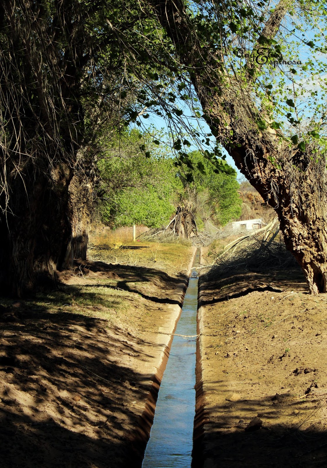 LUGARES MAGICOS GRAN MORELOS, CHIHUAHUA.