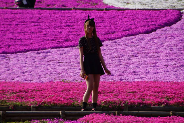 Blogger Hacks: Interview with Kawaii & Japanophile Blogger Mich of Michmerizing Tokyo | Simply Vanessa Blogger Hacks: Interview with Kawaii & Japanophile Blogger Mich of Michmerizing Tokyo | Simply Vanessa