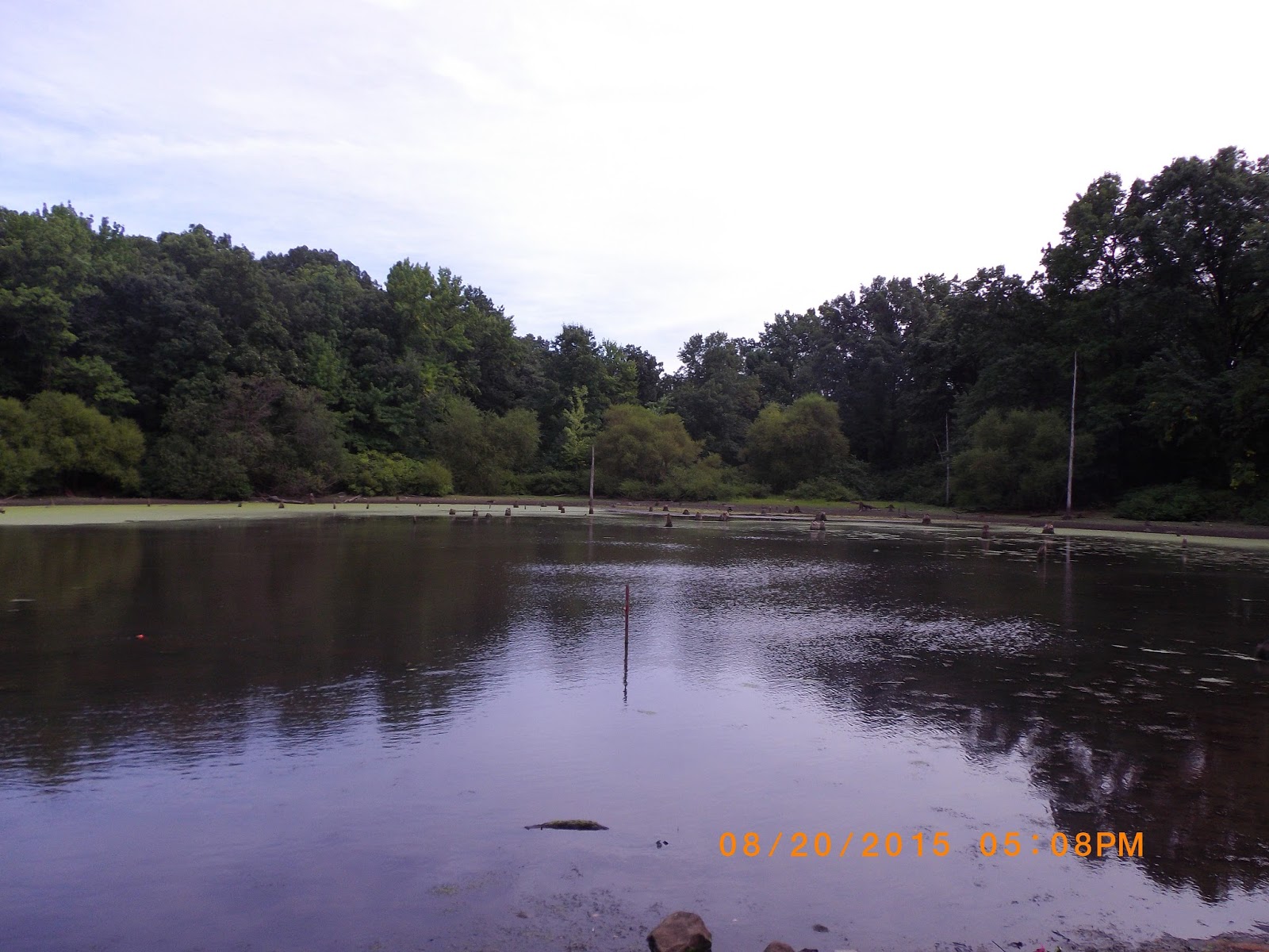 The Great Lakes of NYC Kettle Ponds fishing