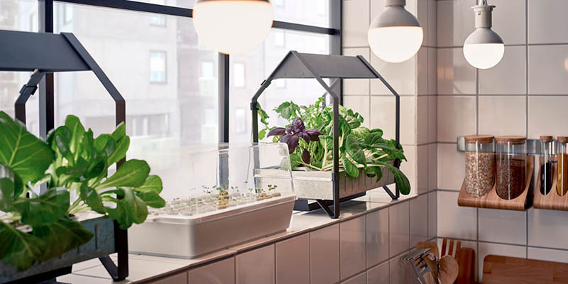 Space-Saving Ways to Grow an Herb Garden