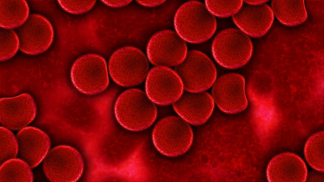 Gejala Kurang Darah (Anemia): Tanda-Tanda Jumlah Sel Darah Merah Rendah