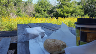 we stopped by Elizabeth's Bagels for coffee and breakfast and had a picnic at the Sculpture Park