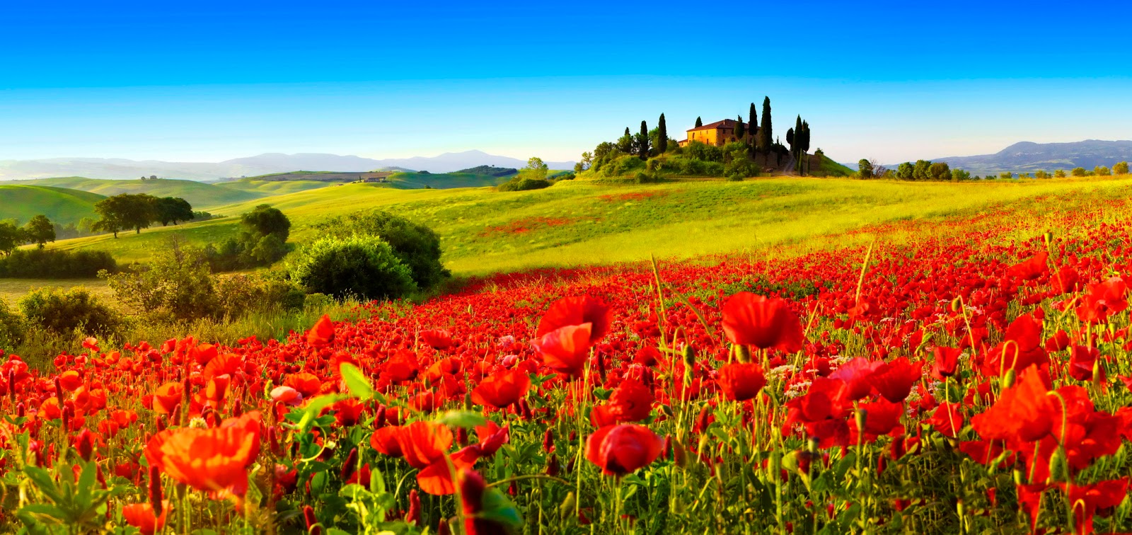 Toscana,Itália | Dicas de viagem. Explore uma das mais belas paisagens ...