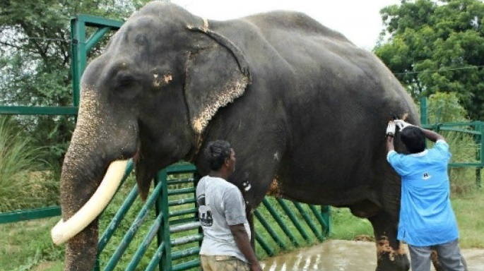 Необычное дело