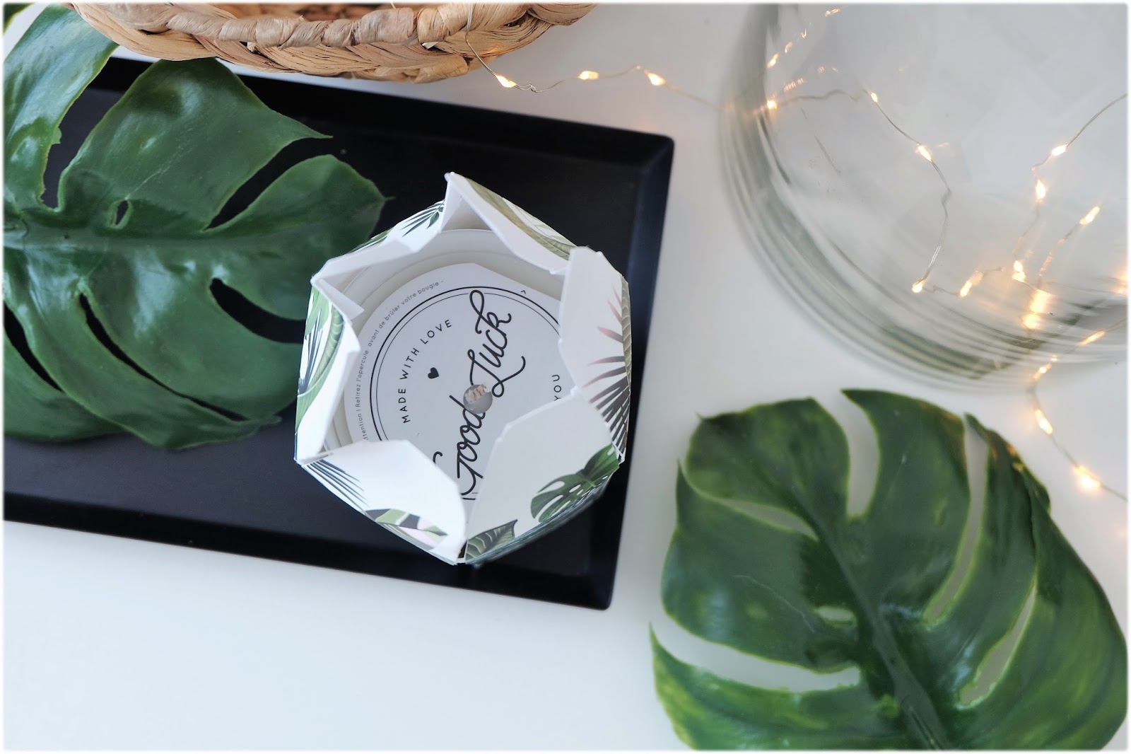 my jolie candle tropical jungle