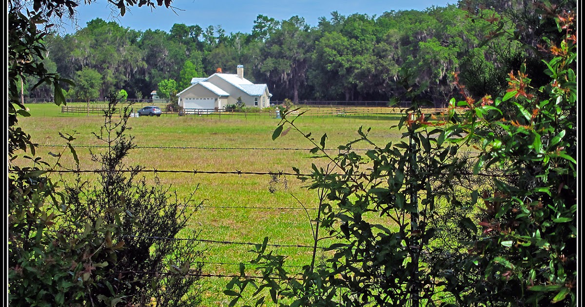 Ocala, Central Florida & Beyond Ocala Farm