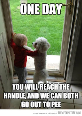 Happy Friendship Day Funny Images 2017 And Friendship Day Funny Quotes With Images For Funny Friends Happy Friendship Day Funny Images 2017 And Friendship Day Funny Quotes With Images For Funny Friends