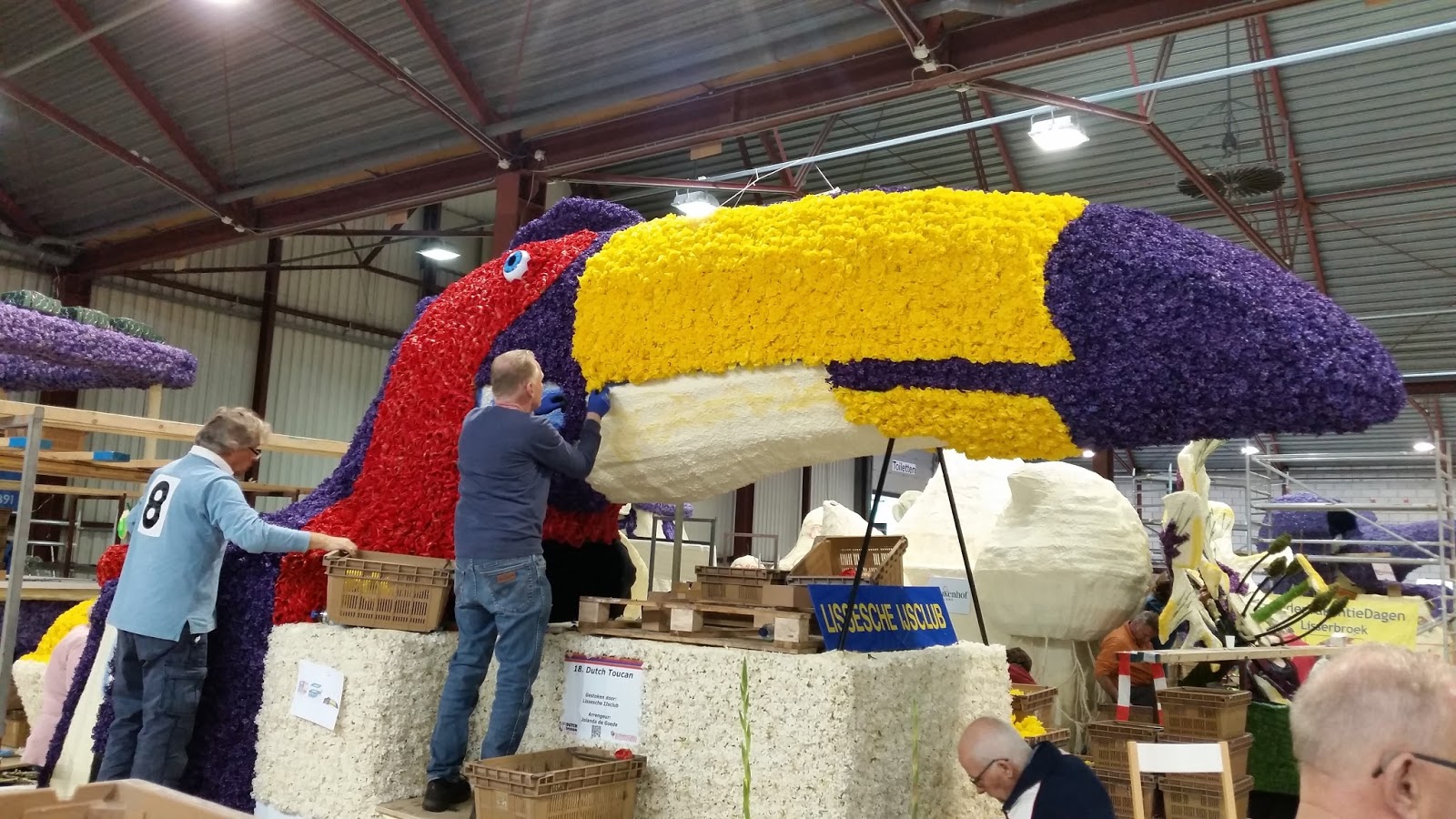 JollyDays Supported Holidays Dutch Bulb Fields & Amsterdam with Derek