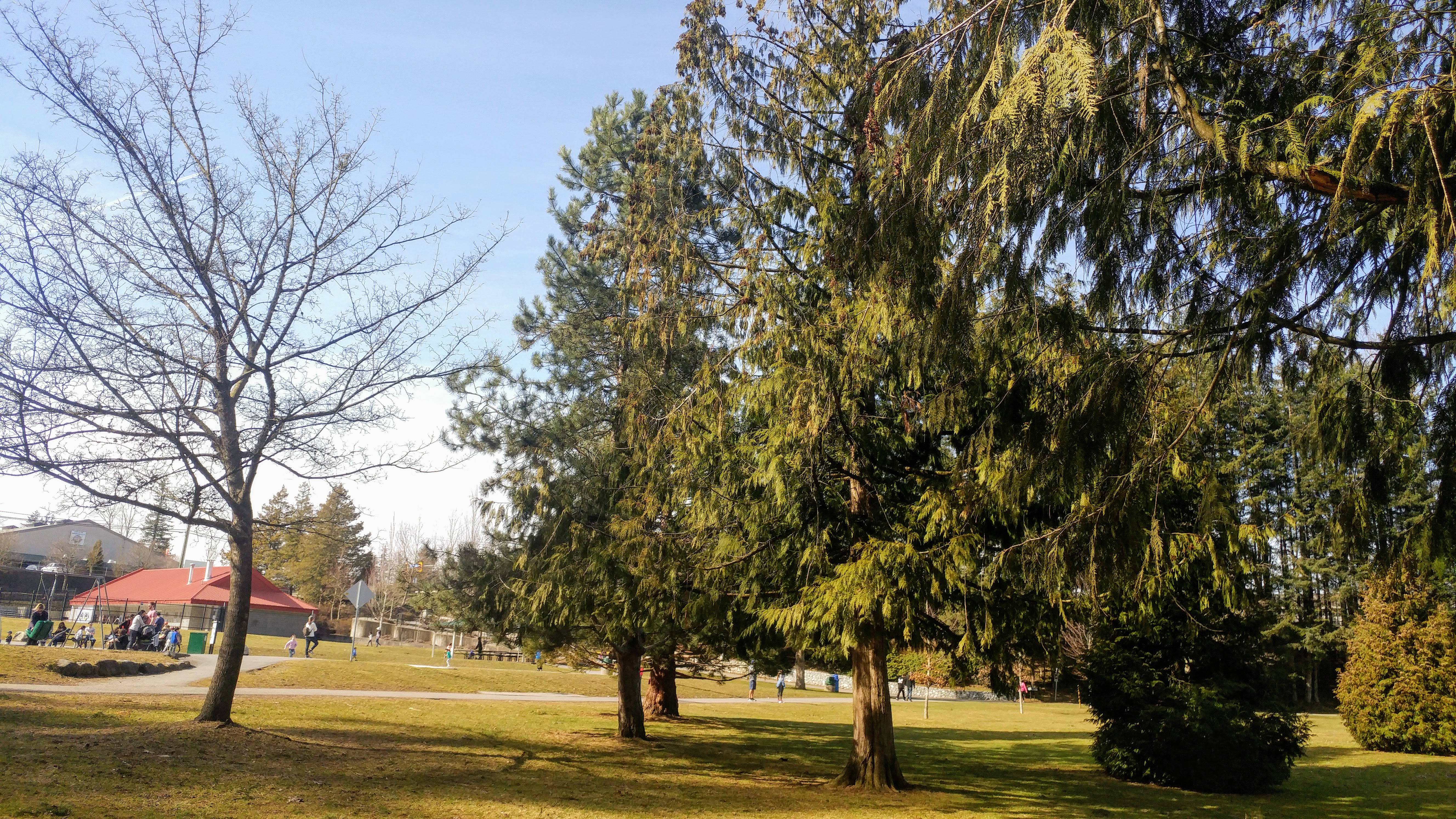 The water park and Lots of beautiful trees. The water park and Lots of beautiful trees.