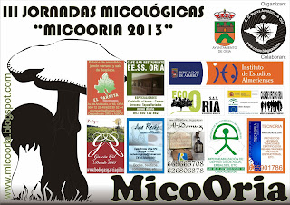 http://micooria.blogspot.com.es/