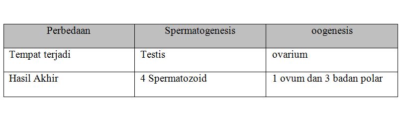 Jelaskan Perbedaan Gametogenesis Pada Laki Laki Spermatogenesis Dan Pada Wanita Oogenesis Berkaitan Dengan Tempat Terjadinya Dan Hasil Akhir Pembelahan Blog Pak Pandani