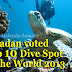 Pulau Sipadan in World Top 10 Dive Sites
