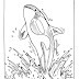 Coloring Pages Of Killer Whales