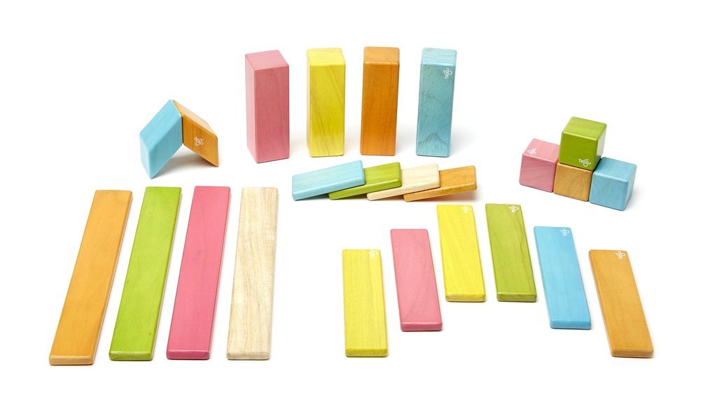 tegu blocks amazon
