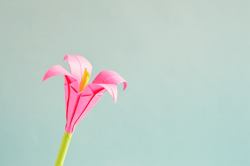 Making beautiful paper flowers Making beautiful paper flowers