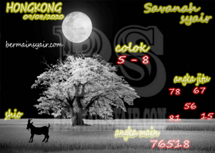 forum syair hk Meloditogel